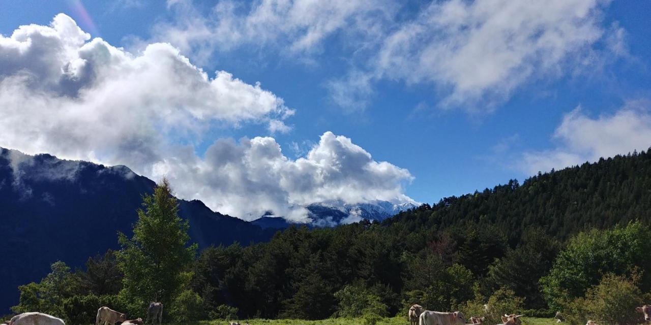 Bordes Pirineu, Costuix Ξενοδοχείο Areu Εξωτερικό φωτογραφία